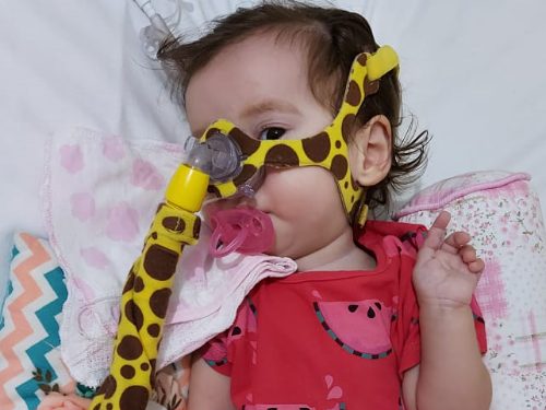 Campanha Salve a Laurinha chega a R$ 6 milhões arrecadados