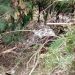 Carro cai de barranco de 10 metros, em Major Gercino