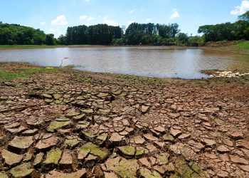 Estado investe R$ 76 milhões para amenizar impacto da estiagem