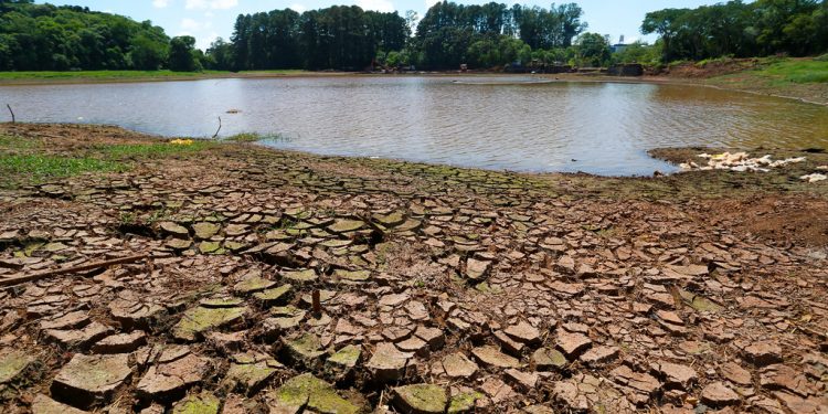 Estado investe R$ 76 milhões para amenizar impacto da estiagem