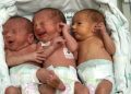 Caso raro: Trigêmeos idênticos que nasceram em SC já receberam alta
