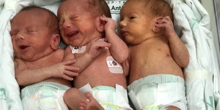 Caso raro: Trigêmeos idênticos que nasceram em SC já receberam alta