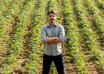 Vereador se dispõe a fazer podas e plantar árvores voluntariamente