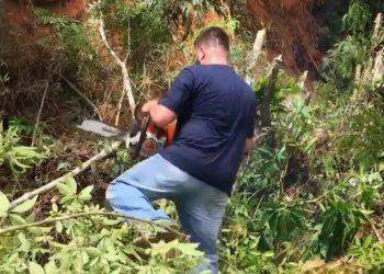 Prefeito de Nova Trento corta árvores e ajuda na manutenção da cidade