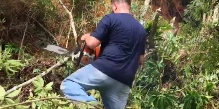 Prefeito de Nova Trento corta árvores e ajuda na manutenção da cidade