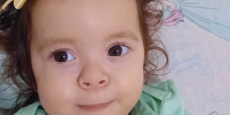 Iniciada negociação para aplicação de medicação na Laurinha