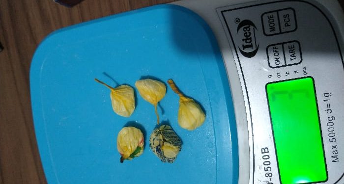 Drogas são apreendidas no bairro Carmelo, em São João Batista