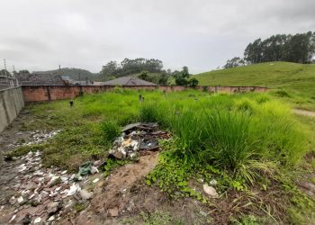São João Batista está em situação de infestação por mosquito da dengue
