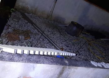 Homem invade residência, foge, se esconde em telhado e é detido por populares