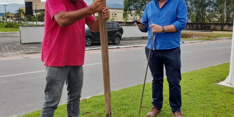 Ruas de São João Batista serão arborizadas com Ipês