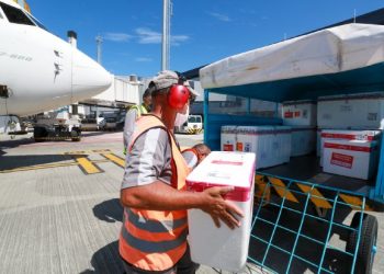 Estado recebe mais 85 mil doses e pode começar imunização idosos acima de 90 anos