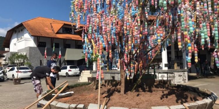 Prefeitura de Nova Trento inicia paisagismo na Praça Del Comune