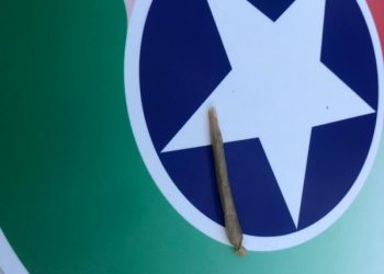 Polícia Militar apreende drogas em São João Batista