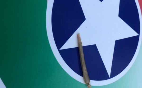 Polícia Militar apreende drogas em São João Batista