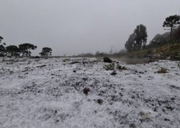 Santa Catarina registra neve e chuva congelada na Serra
