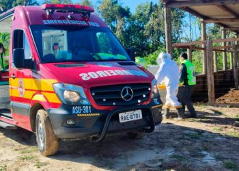 Homem é atacado por abelhas e sofre reação alérgica, em Canelinha