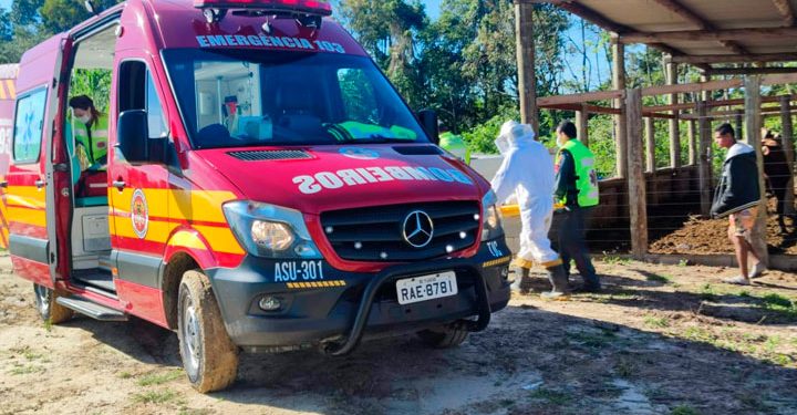Homem é atacado por abelhas e sofre reação alérgica, em Canelinha