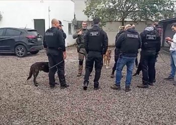 Polícia Civil realiza operação de combate ao tráfico de drogas na região