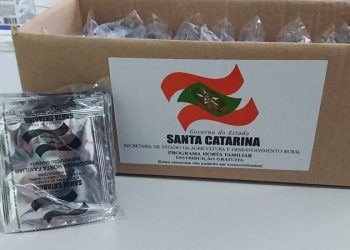 Kits de sementes de hortaliças estão disponíveis na Intendência de Tigipió