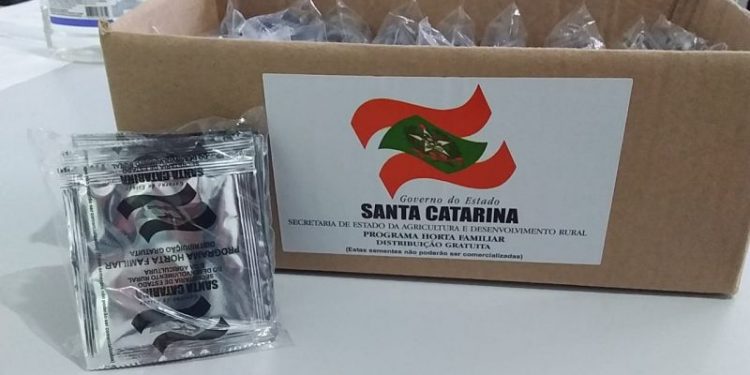 Kits de sementes de hortaliças estão disponíveis na Intendência de Tigipió