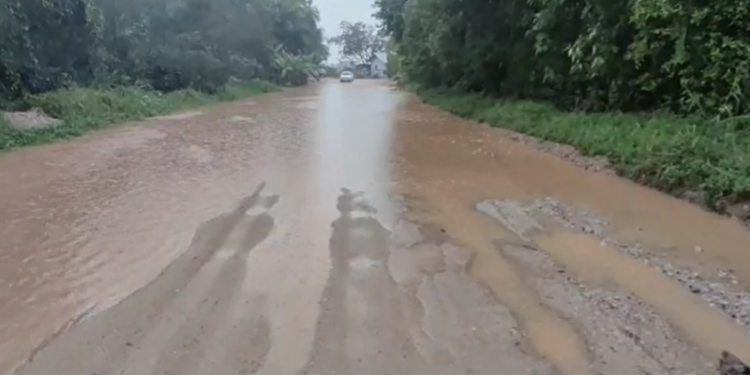 São João Batista teve 78 milímetros de chuva e Canelinha 99 em 48 horas
