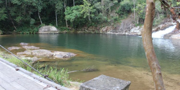Parque Cascata do Fernandes recebe mutirão de limpeza
