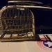 Polícia encontra gaiola e passarinho silvestre em operação, em Major Gercino