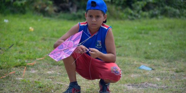 Vereadores aprovam proibição para soltar pipas em vias públicas