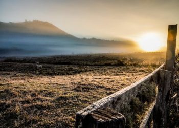 Santa Catarina registra a menor temperatura do ano nesta terça-feira