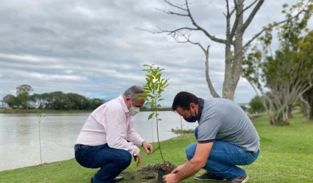 Plantio de árvores nativas em áreas verdes de Tijucas celebra Dia do Meio Ambiente