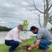 Plantio de árvores nativas em áreas verdes de Tijucas celebra Dia do Meio Ambiente