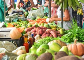 Feira da Agricultura Familiar e Artesanato de Canelinha acontece no próximo sábado