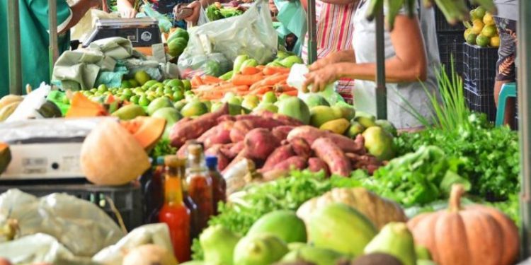 Feira da Agricultura Familiar e Artesanato de Canelinha acontece no próximo sábado