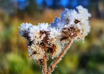 Frio intenso deve ser registrado nos próximos dias após chegada de ar polar ao Estado
