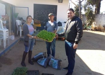Canelinha desenvolve o projeto Horta na Escola