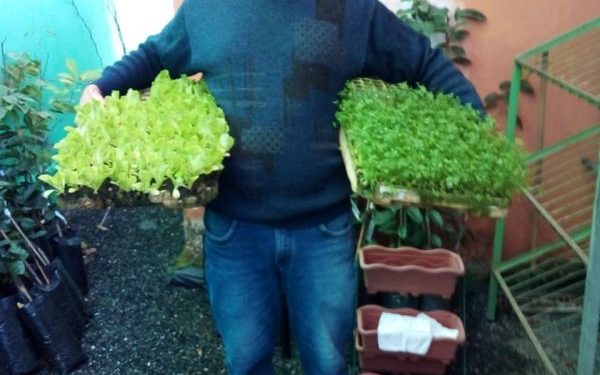 Secretaria de Agricultura de Canelinha vai distribuir hortaliças