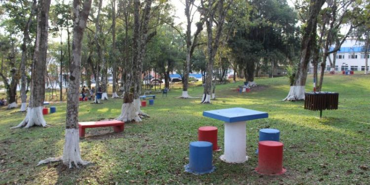 Bosque Municipal de São João Batista recebe melhorias