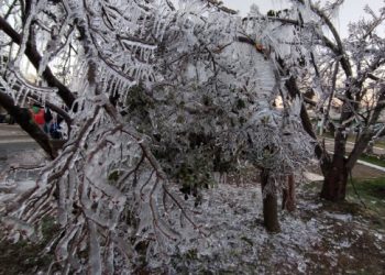 Santa Catarina terá frio menos intenso