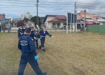 Morre bebê mordido por cachorro no colo da mãe