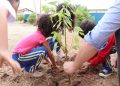 Canelinha celebra o Dia da Árvore com plantio de mudas