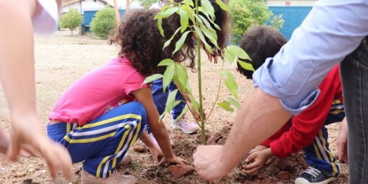Canelinha celebra o Dia da Árvore com plantio de mudas