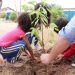 Canelinha celebra o Dia da Árvore com plantio de mudas