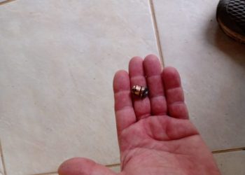 Tentativa de homicídio é registrada em Major Gercino