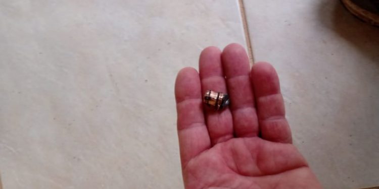 Tentativa de homicídio é registrada em Major Gercino