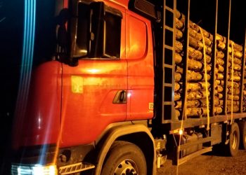 Motociclista fica gravemente ferido em acidente na SC-108, em Nova Trento