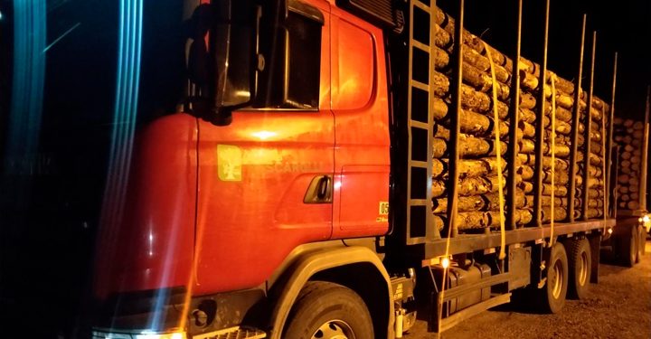 Motociclista fica gravemente ferido em acidente na SC-108, em Nova Trento