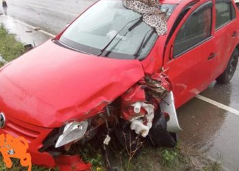 Quatro pessoas ficam feridas na Rodovia-410, em Nova Trento