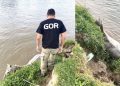 Cavalo é resgatado após cair no Rio Tijucas