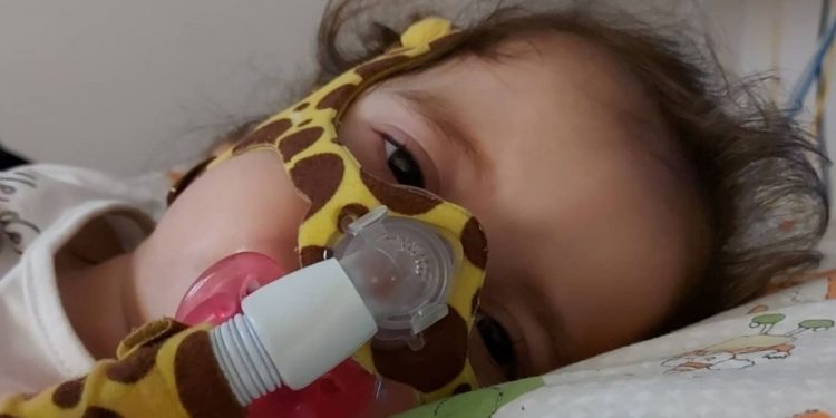 Laurinha está na UTI e família pede orações