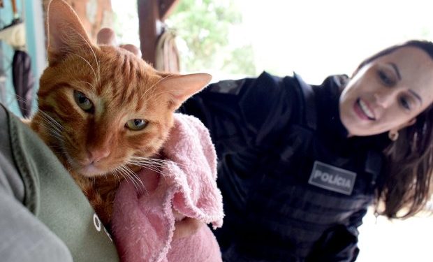 Presídio Regional de Tijucas entrega mantas para protetores de animais